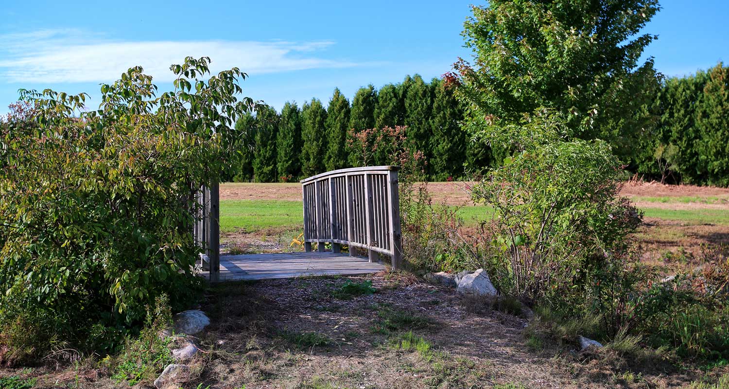 Footbridge in The Preserve - shows the natural, untouched beauty of The Preserve